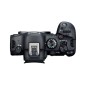 CANON EOS R6 MARK II